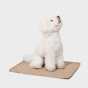 Reusable Waterproof Pet Pad