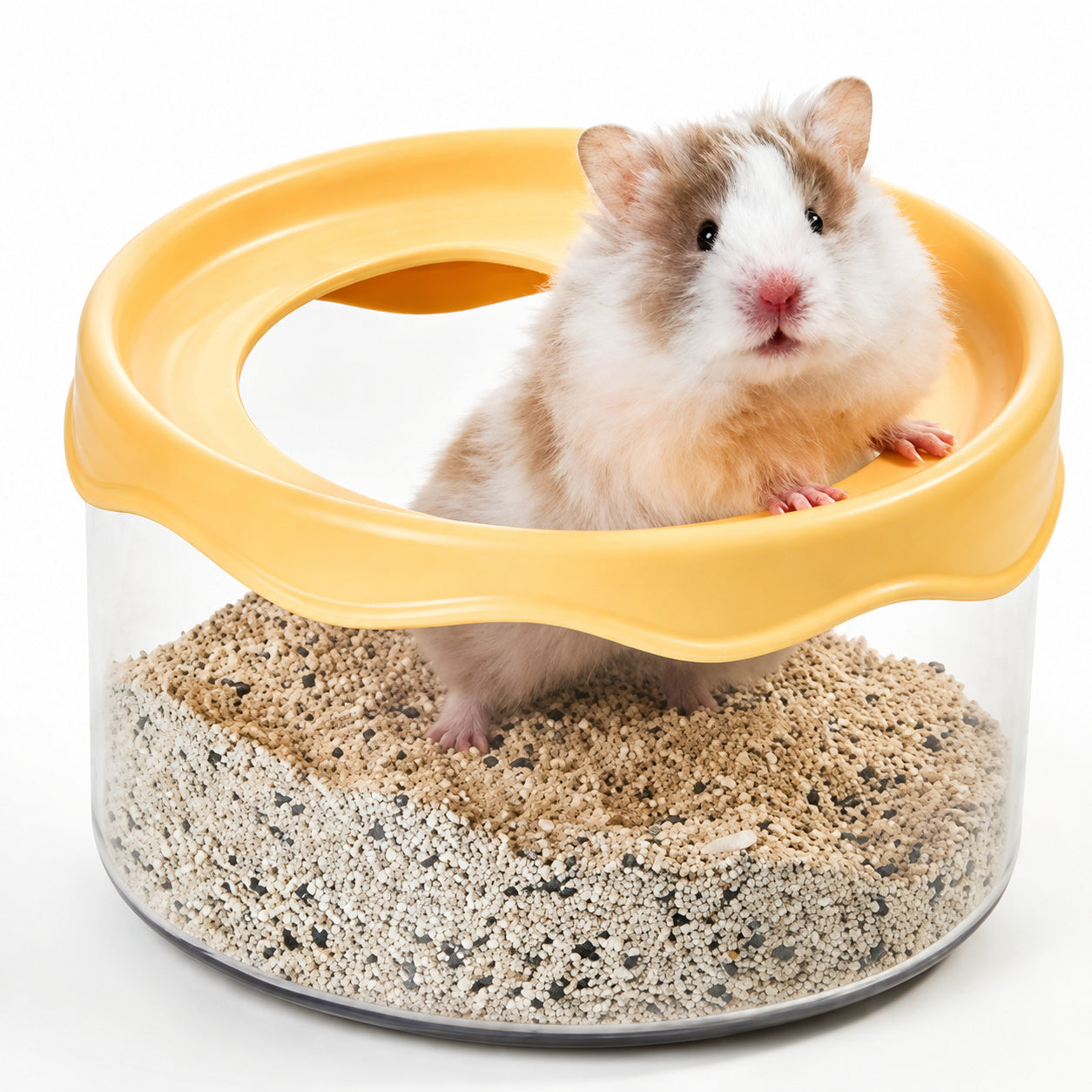360° Clear Hamster Sand Bath