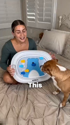 BDM2606020358027648_ai-videos-001