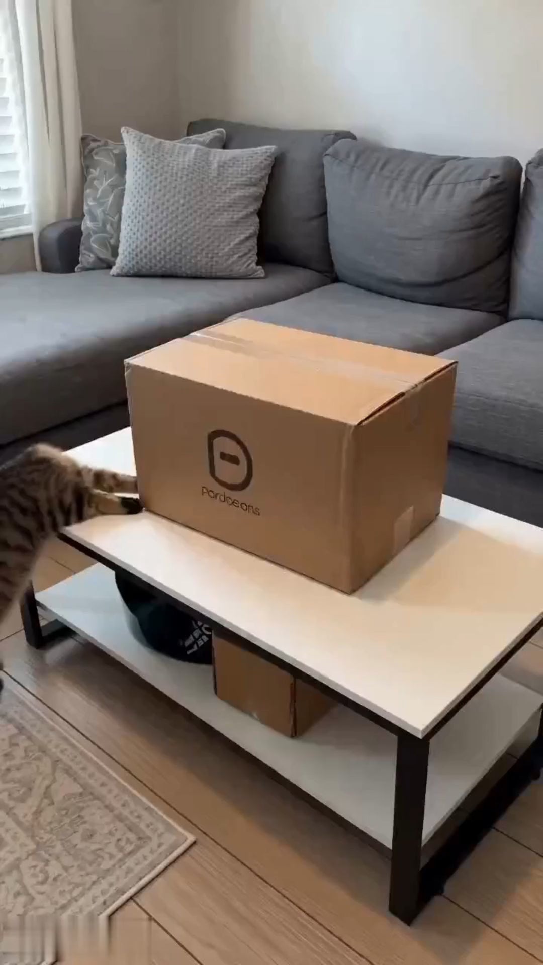 FPT2606110238027648_ai-videos-001