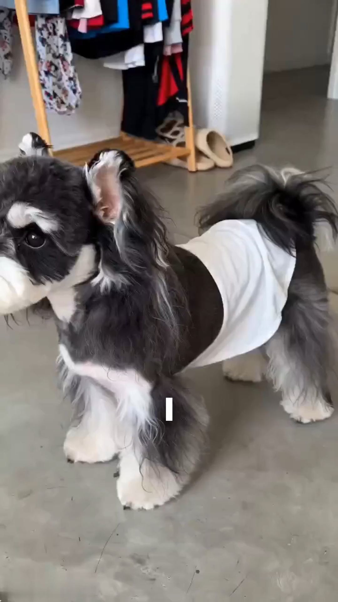 APP2606080078027648_ai-videos-001