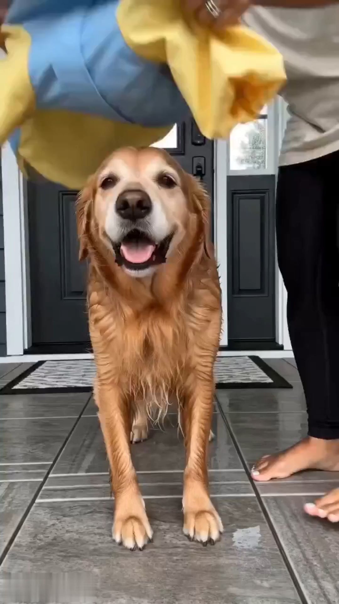 APP2606080412608265_ai-videos-001