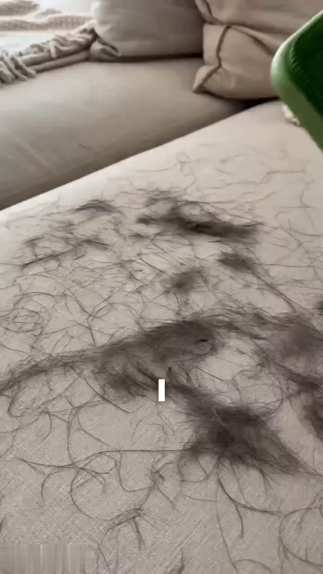 ods2606130138027648