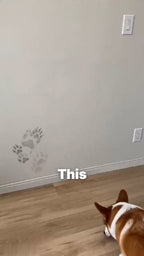 fpt2606130978027648