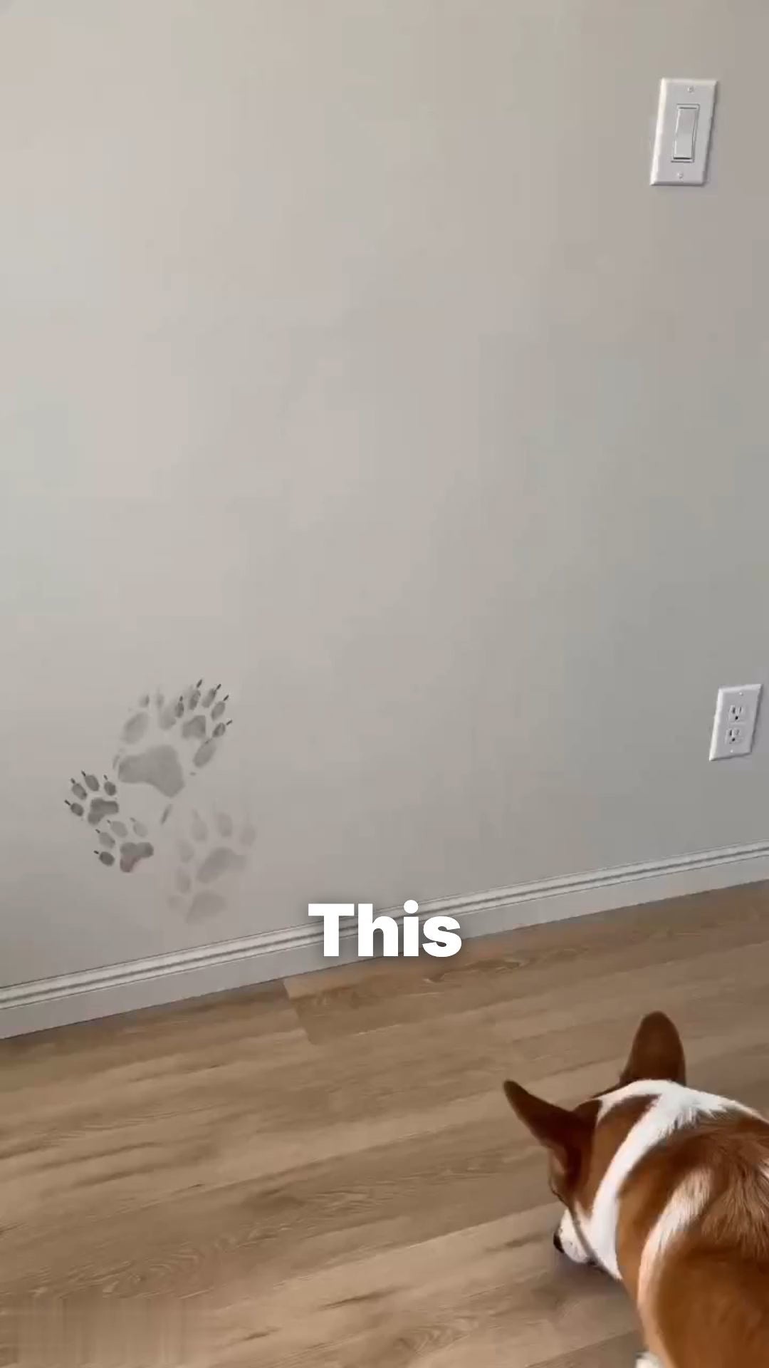fpt2606130978027648