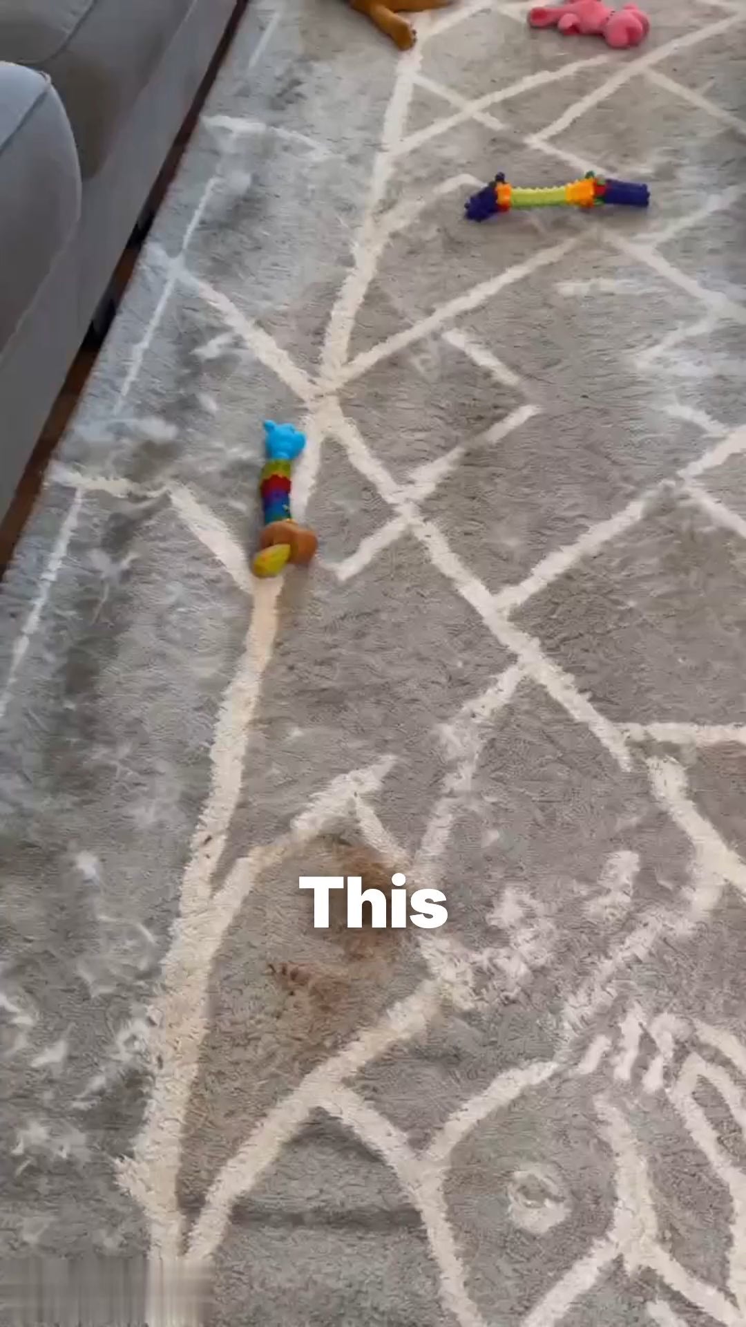 FPT2606130898027648_ai-videos-001