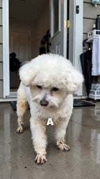 APP2606140228027648_ai-videos-001