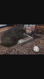 Laptop Scratcher Toy For Cats