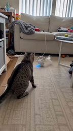 CTY2606110012608265_ai-videos-001