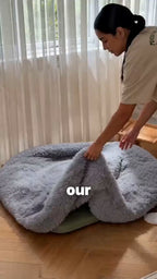 BDM2606130306445652_ai-videos-001