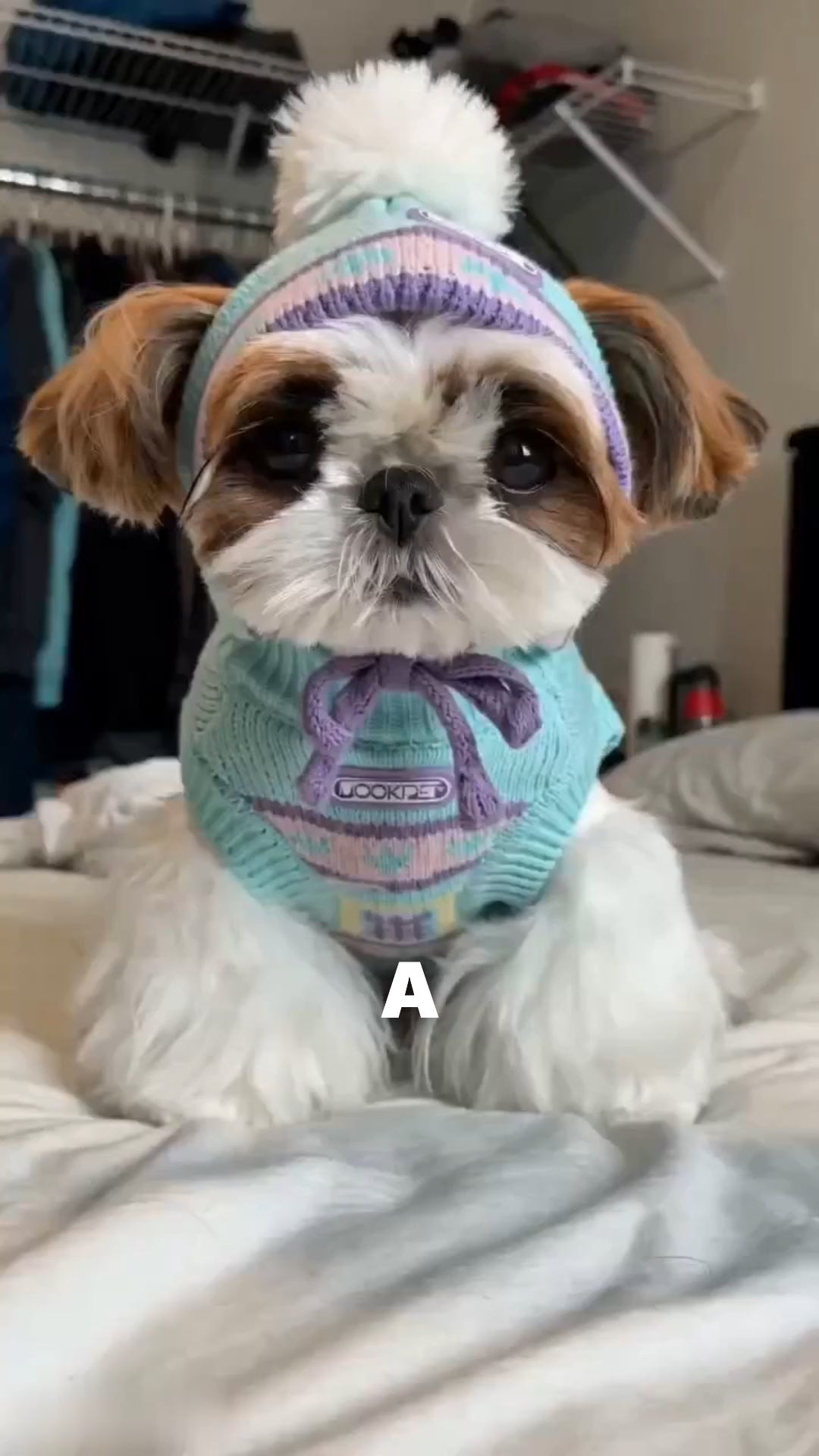 APP2606080058027648_ai-videos-001