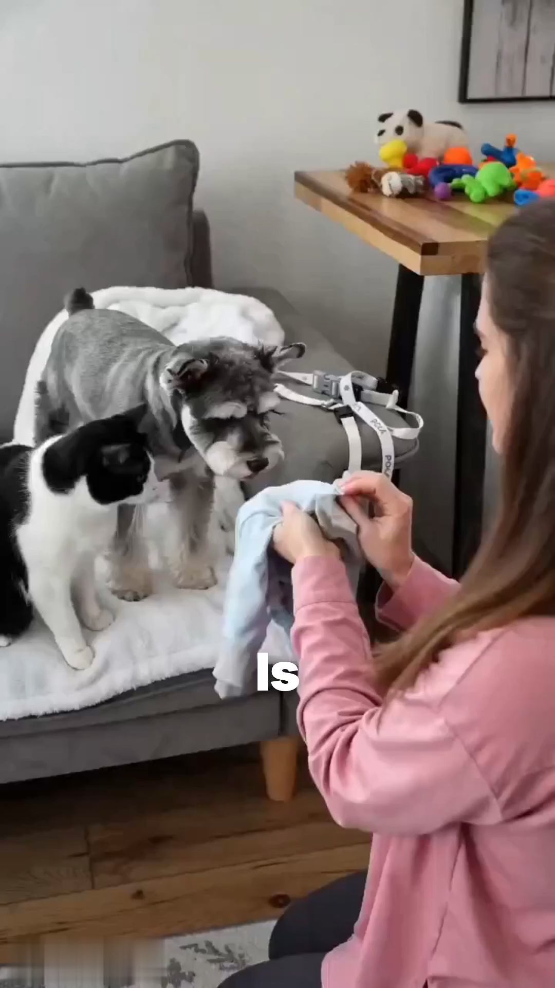 APP2606020208027648_ai-videos-001