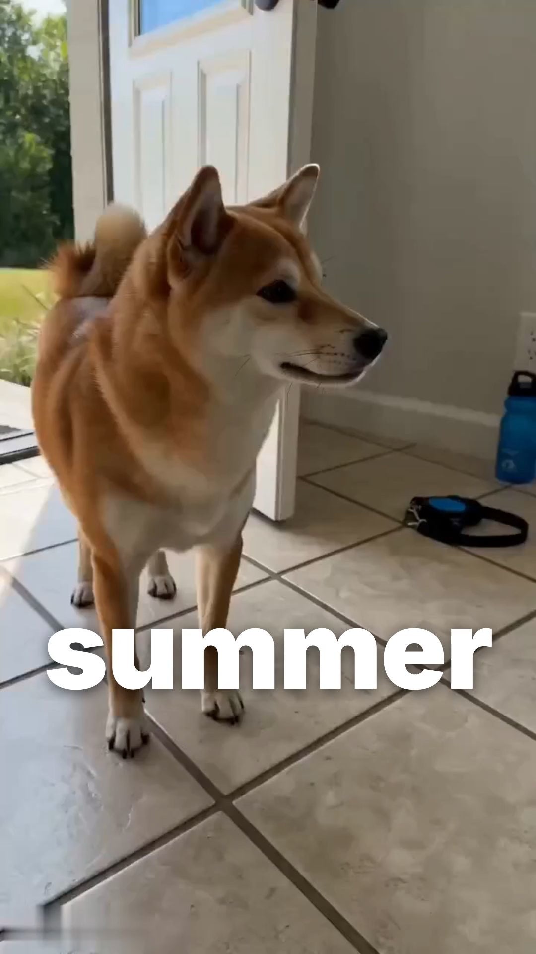 APP2606130016445652_ai-videos-001