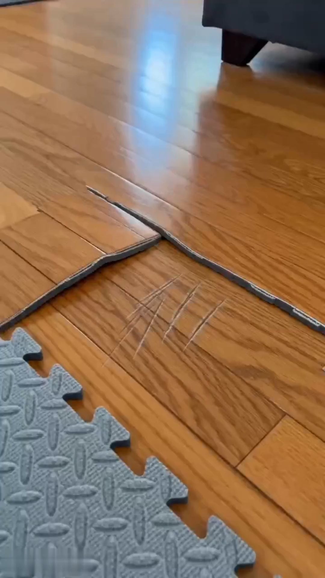 BDM2606130888027648_ai-videos-001