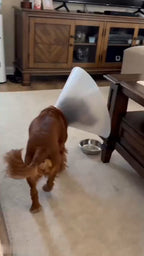 CHL2606140118027648_ai-videos-001