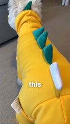 HOL2606080098027648_ai-videos-001