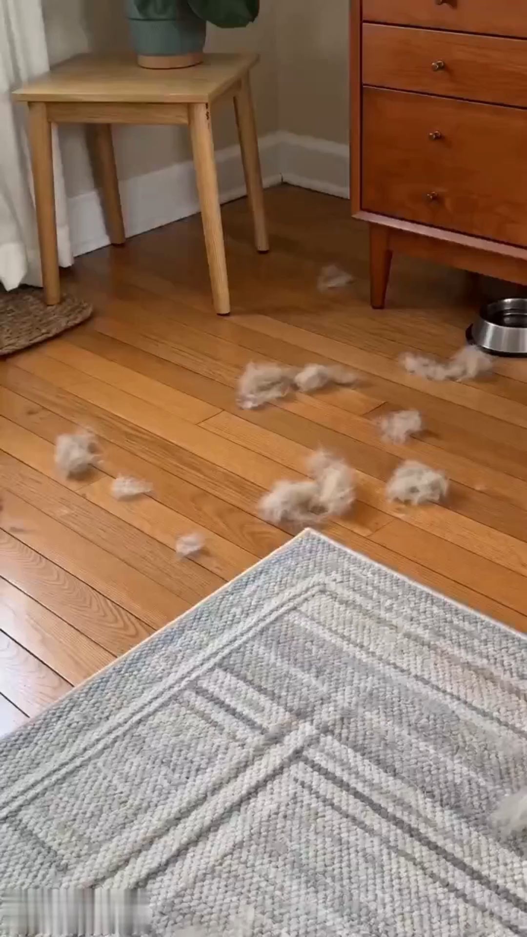 fpt2606130918027648