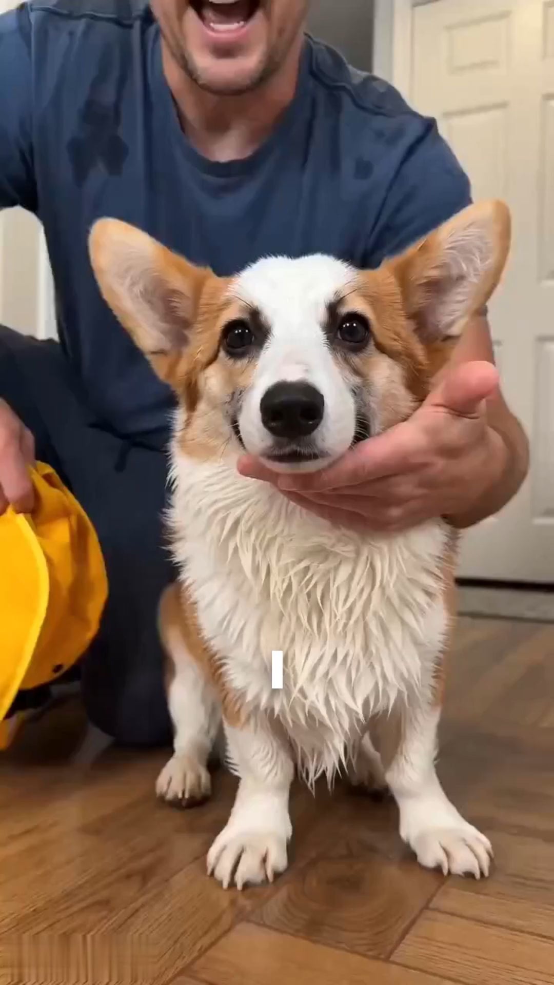 APP2606080392608265_ai-videos-001
